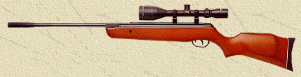 Gamo 880 S Carbine